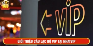 NHATVIP VIP